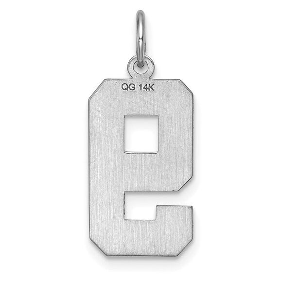 14k White Gold, Varsity Collection, Large D/C Pendant, Number 9 - Picture 3 of 5